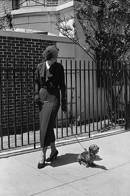 Elegant Woman Walking a Dog Wall Art