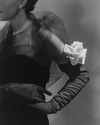 Elegant Woman in Black Dress Photograph