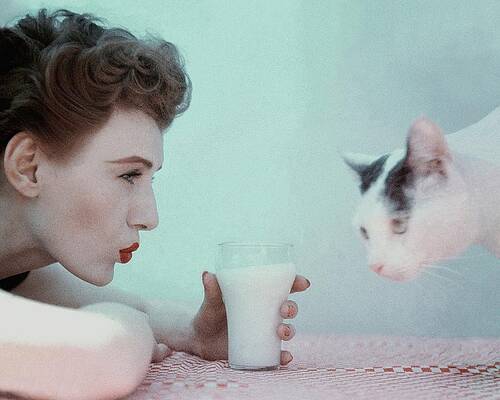 Woman and Cat with Glass of Milk Wall Art