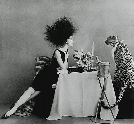 Chic Dinner with a Cheetah Photograph