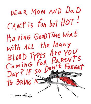 Summer Drawing - A Mosquito Writes In Blood A Letter Home by Michael Crawford