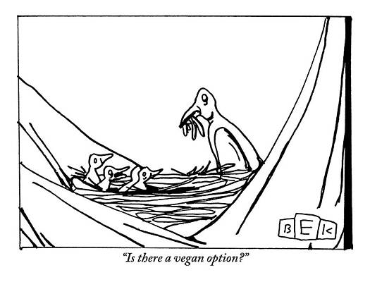 Bird Family and Vegan Option Inquiry Drawing