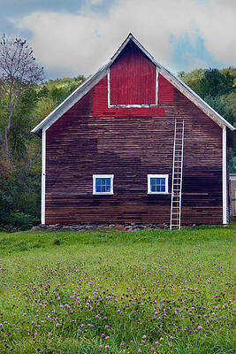 Barn Photograph - A New Coat by Steven David Roberts