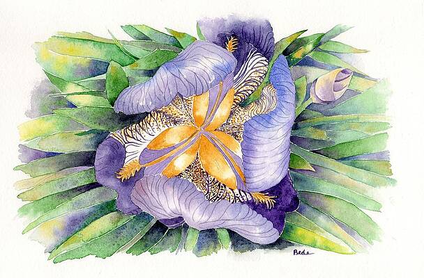 Wall Art featuring the painting A New Perspective by Catherine Bede