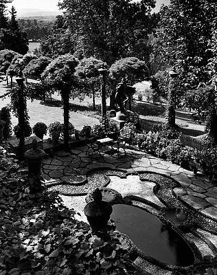 Massachusetts Photograph - A Pond In An Ornamental Garden by Gottscho-Schleisner