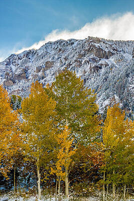 Fall Wall Art featuring the photograph A Red Mountain Fall by Jeff Stoddart