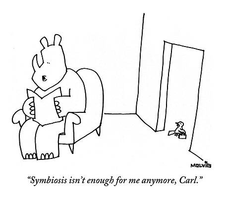 Chair Wall Art featuring the drawing A Rhino Is Reading A Book While A Small Bird by Ariel Molvig