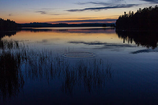 Wall Art featuring the photograph A Ripple On Hazelwood Lake by Linda Ryma