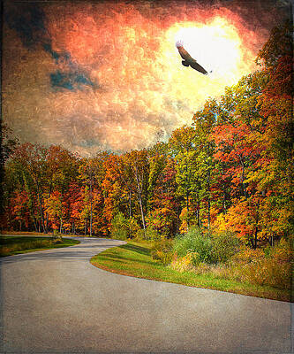 Landscape Wall Art featuring the photograph A Road Thru Nature by Bill and Linda Tiepelman