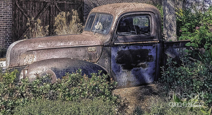 Wall Art featuring the photograph A Rustic Gem by Mary Lou Chmura