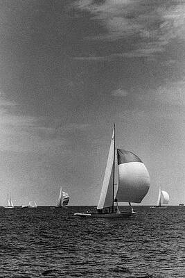 Sailboats Racing on Open Sea Photograph