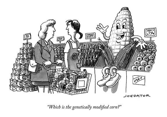 Genetically Modified Corn Cartoon Wall Art