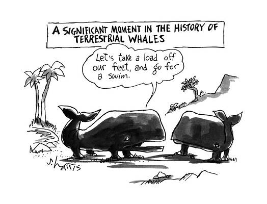 Swim Wall Art featuring the drawing A Significant Moment In The History by Sidney Harris