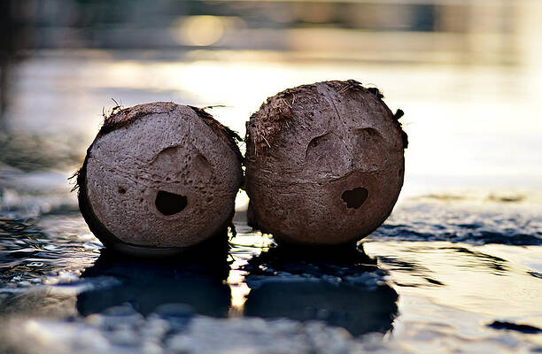 Happy Wall Art featuring the photograph A Song In My Heart by Laura Fasulo