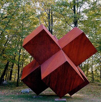 Rusty Geometric Sculpture in Forest Wall Art