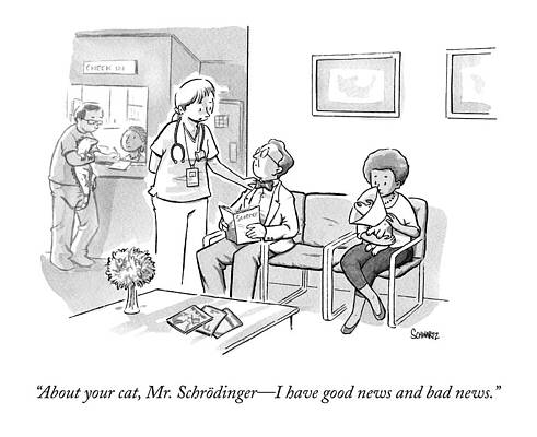 Mr. Schrödinger Awaits Cat News Drawing