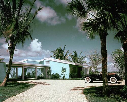 Mid-Century Modern House with Palm Trees Photograph
