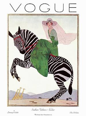 Elegant Woman Riding a Zebra Drawing
