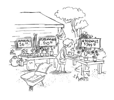 6 Wall Art featuring the drawing A Woman At A Plant Sale Looks At Signs Reading: by Sidney Harris