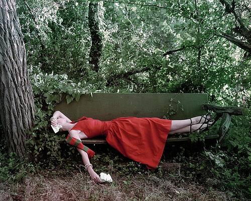 Woman in Red Dress on Forest Bench Wall Art