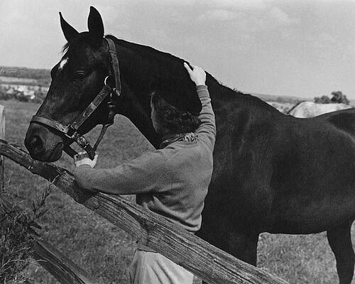 Wall Art featuring the photograph A Woman With A Horse by Lusha Nelson