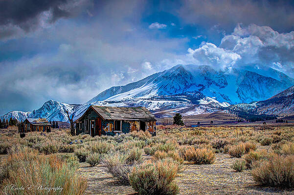 Wall Art featuring the photograph Abandoned 1a East Sierra Mountains by Carla E