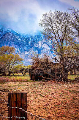 Wall Art featuring the photograph Old Old House 4 by Carla E