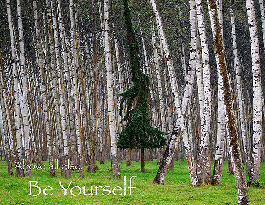 Mary Lee Photograph - Above All Else Be Yourself by Mary Lee Dereske