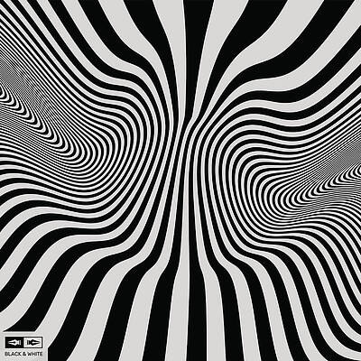 Hypnotic Black and White Waves Wall Art