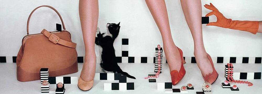 Fashion and Playful Cat Wall Art