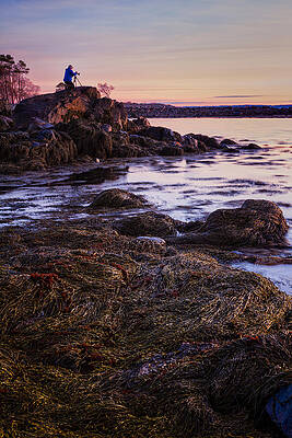 Wall Art featuring the photograph Adam On The Rocks by Jeff Sinon