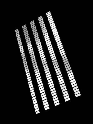Diagonal Grayscale Bars on Black Wall Art