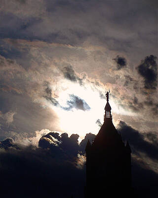 Wall Art featuring the photograph After The Rain by Rona Black