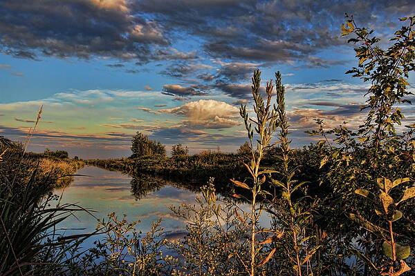 Wall Art featuring the photograph Late Afternoon In The Mead Wildlife Area by Dale Kauzlaric