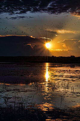 Wis Photograph - Late Afternoon Reflection by Dale Kauzlaric