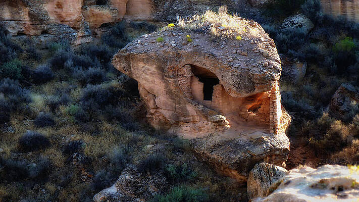 Sacred Wall Art featuring the photograph Alien House by Ghostwinds Photography