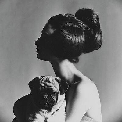 Elegant Silhouette with Pug Wall Art