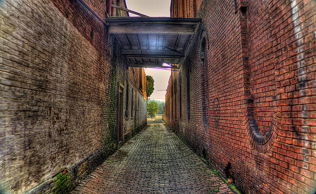Ohio Wall Art featuring the photograph Alley In HDR by Jonny D