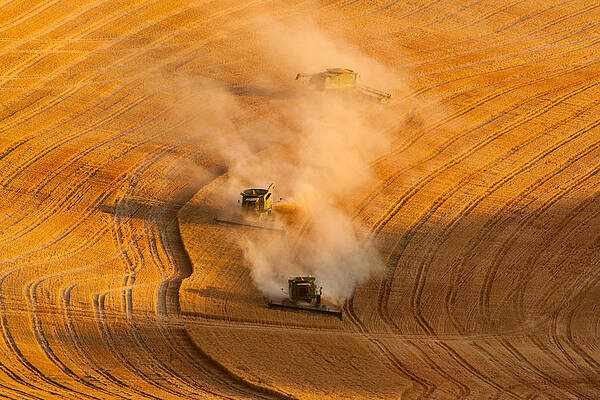 Summer Photograph - Almost Finished 2 by Mary Jo Allen