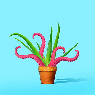 Wall Art featuring the photograph Aloe Plant With Octopus Tentacles by Juj Winn