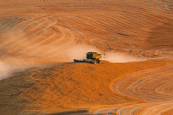 Summer Photograph - Alone by Mary Jo Allen