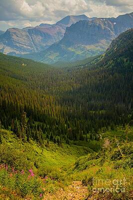 Glacier National Park Photograph - Along The Path To Iceburg Lake 19 by Natural Focal Point Photography
