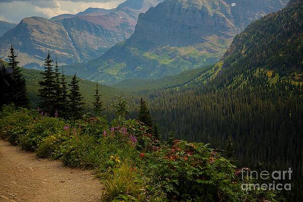 Glacier National Park Photograph - Along The Path To Iceburg Lake 21 by Natural Focal Point Photography