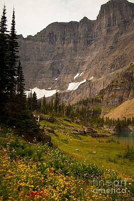 Glacier National Park Photograph - Along The Path To Iceburg Lake 3 by Natural Focal Point Photography