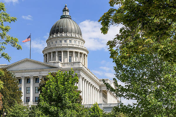 Architecture Wall Art featuring the photograph Amazing Architecture by Sue Leonard
