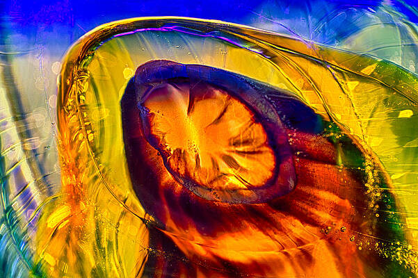 Wall Art featuring the photograph Amber Madonna by Omaste Witkowski