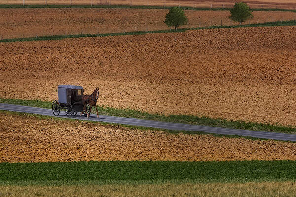 Horse and Buggy on Country Road Photograph