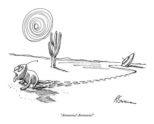 Desert Creature's Journey Wall Art