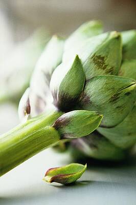 Close-Up of Fresh Artichoke Wall Art