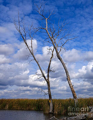 Fall Photograph - An Autumn View Of Horicon Marsh by Natural Focal Point Photography